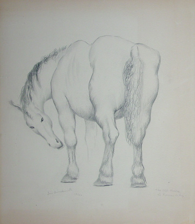 Old Horse