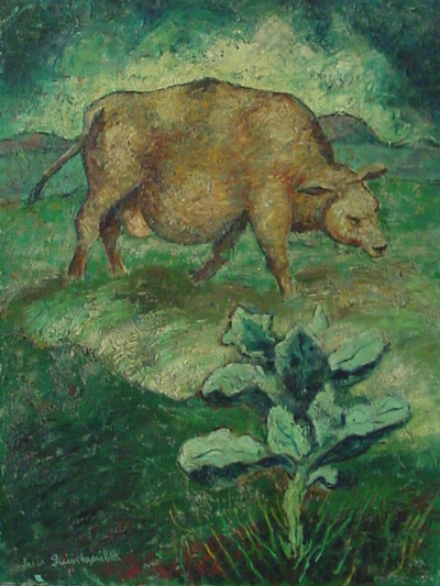 Cow in Pasture
